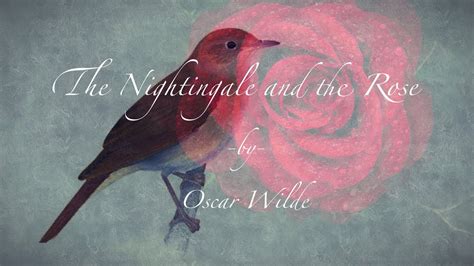  The Nightingale and the Rose : A Timeless Fable about Love, Sacrifice, and the Illusion of Perfection