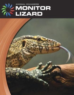  The Tale of Two Lizards : 21st Century Mexican Folklore Explored!