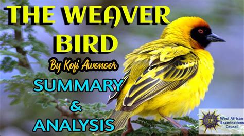  The Weaver Birds – A Timeless Tale of Courage, Sacrifice, and the Power of Friendship!